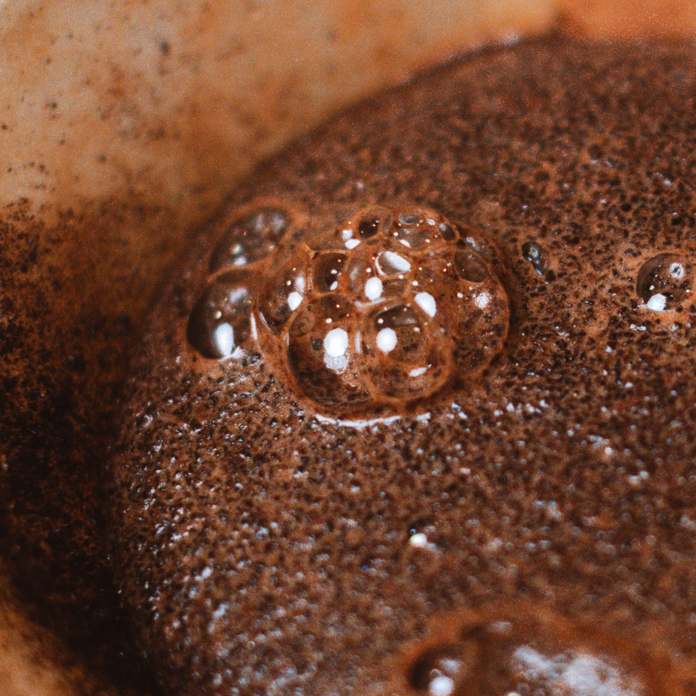 Professional: Commercial Brewing Fundamentals