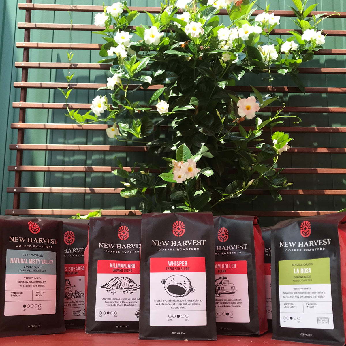 How to Shop for Coffee