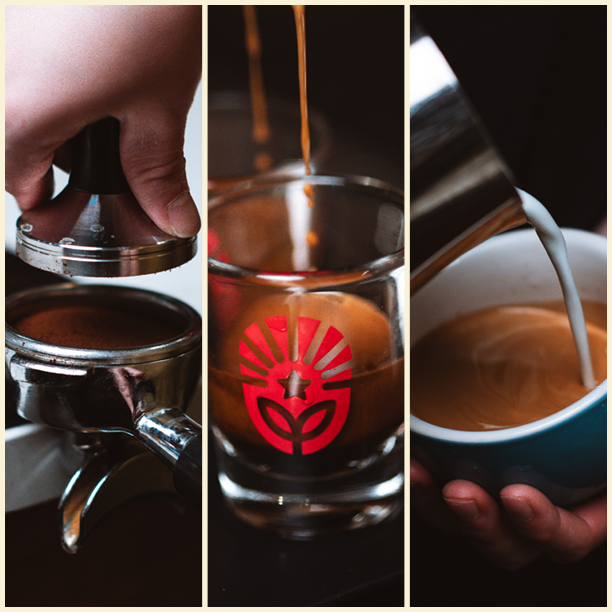 Professional: Barista Basics